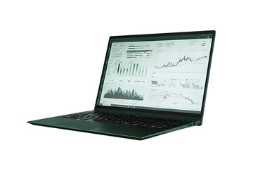 Financial data charts on laptop screen. Business analytics concept.