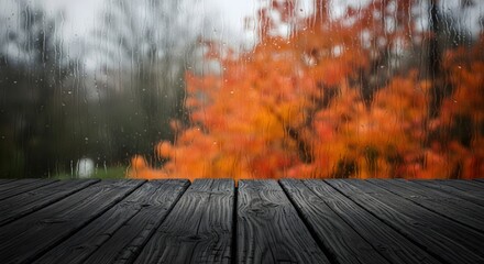Rainy Autumn Day Dark Wood Deck with Blurred Fall Foliage Background