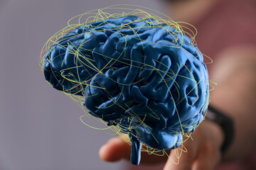 3D render of human brain with neural network connections.  Perfect for AI, neuroscience, or...