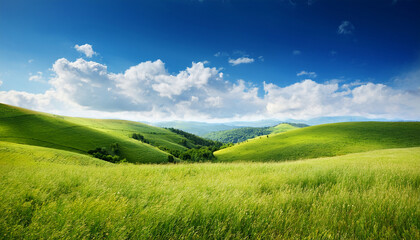 Fototapeta premium abstract summer hilly landscape with meadows plants blue sky and clouds
