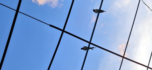 sky and clouds