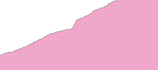 A piece of torn pink sheet in a cell. Decorative horizontal background with a torn sheet of pink paper in a cell. A tight space for your text. Wegtr graphics