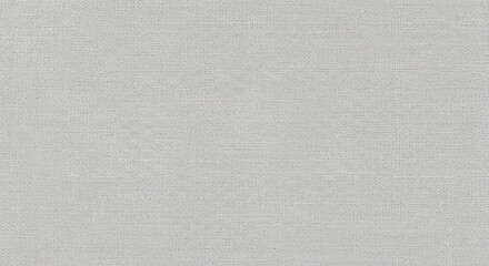 Fototapeta premium A subtly textured light gray background.