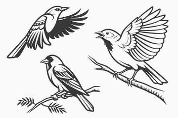 Fototapeta premium 16 Monochrome Cat Icons Black and White Design Set