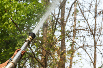 Fototapeta premium Huge powerful hose watering battle with brush fire 