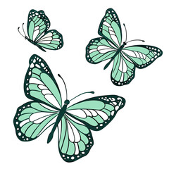 Elegant Green Butterfly Vector Set – Flat Style Flying Insects for Nature and Spring Designs