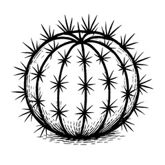 Hand Drawn Detailed Barrel Cactus Botanical Illustration Desert Plant