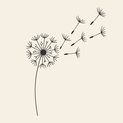 Hand Drawn Dandelion Seed Flying in The Wind Floral Element Illustration