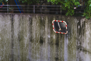 Mirror reflects a quiet park corner with weathered wall and lush greenery in the late afternoon light