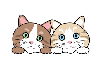 Two peeking funny cats