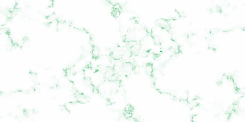 Fototapeta premium Abstract floral design with colorful leaves and green plant patterns