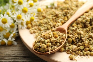 Dry, fresh chamomile flowers and spoon on table, closeup