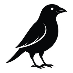 Minimalist Black Bird Silhouette