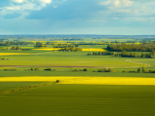 Obraz premium Rapeseed fields in the countryside of Zemgale, Latvian nature.