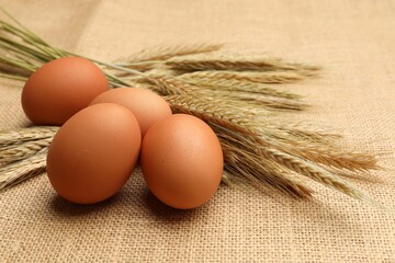Fresh eggs and spikes on burlap cloth, closeup
