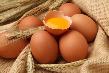 Fresh eggs and spikes on burlap cloth, closeup