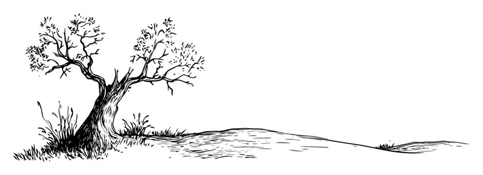 solitary old gnarled tree on a hill hand drawn vector sketch