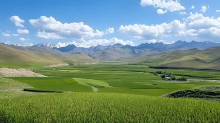 Fototapeta premium Lush green fields stretch before a mountain range.