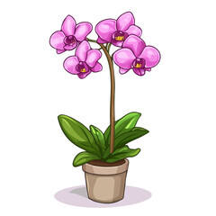 Orchid, vector graphic, 2D flat isometric cartoon illustration on white background.
