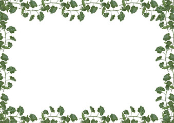 Fototapeta premium Blank frame with green plants arrangement decorated edges