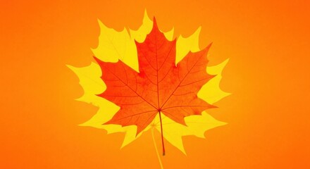 Fototapeta premium Vibrant Red Maple Leaf with Yellow Outline on an Orange Gradient Background