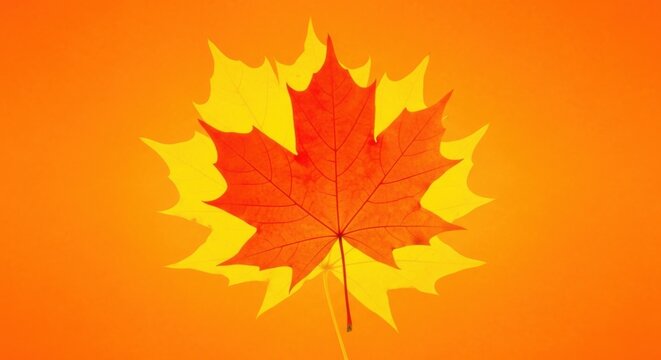 Vibrant Red Maple Leaf with Yellow Outline on an Orange Gradient Background