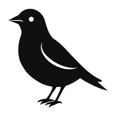 Bird Icon Silhouette on White Background
