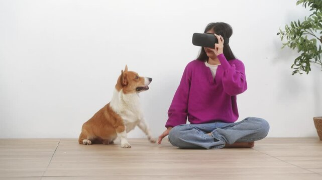 A young Asian woman relaxes indoors in an empty room, wearing VR glasses while her playful Corgi dog stays beside her. The moment captured companionship, technology, and the joy of togetherness.