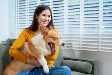 Asian young woman sits on the floor beside her sofa, gently stroking her Corgi dog head relax at...
