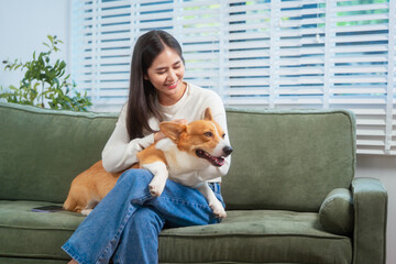 Asian young woman sits on the floor beside her sofa, gently stroking her Corgi dog head relax at...