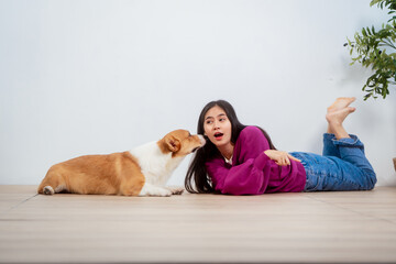 Asian young woman sits on the floor beside her sofa, gently stroking her Corgi dog head relax at...