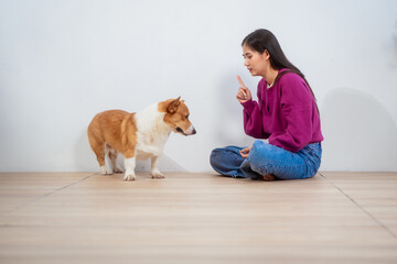 Asian young woman sits on the floor beside her sofa, gently stroking her Corgi dog head relax at...