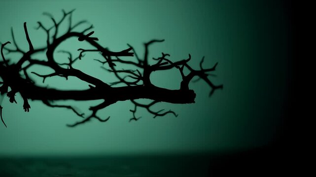 Stylized tree branch with silhouette lighting