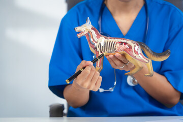 An Asian female veterinarian in blue scrubs and glasses works diligently at her desk, using a...
