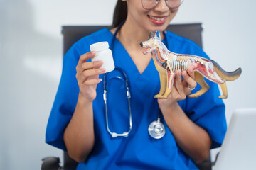 An Asian female veterinarian in blue scrubs and glasses works diligently at her desk, using a...
