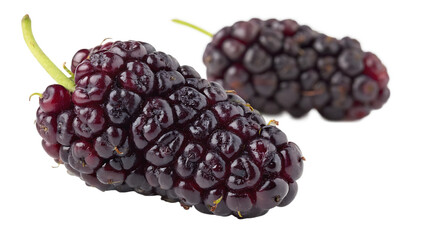 Mulberry isolated on a white background PNG. AI GENERATED.