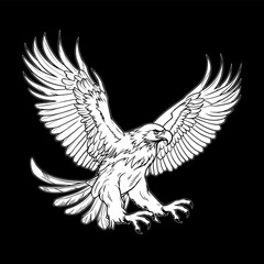 Majestic Eagle Soaring Boldly A Symbol of Freedom and Power A Striking Black and White Depiction of Nature's Grandeur