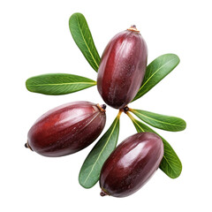Three argan fruits with green leaves isolated on transparent background