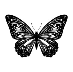 Elegant Butterfly Silhouette with Intricate Wing Patterns A Symbol of Transformation Beauty and Delicate Gracefulness In Bold Black and White