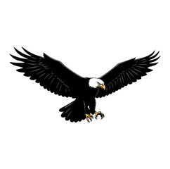 Majestic Bald Eagle in Flight Black and White Vector Illustration with Detailed Feather Design