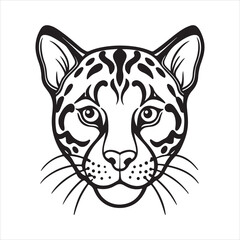 Mystery in the Canopy: Clouded Leopard in the Wild