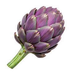 Fototapeta premium Fresh purple artichoke isolated on transparent background