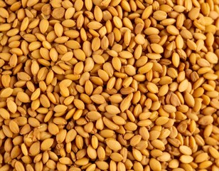 Naklejka premium Pile of Fenugreek Seeds