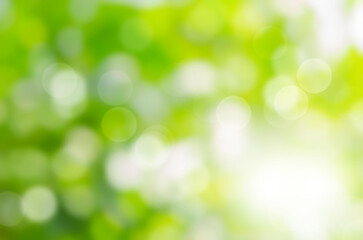 Green bokeh abstract background blur