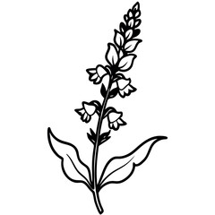 Black and White Snapdragon Sketch Long Stem Botanical Line Art