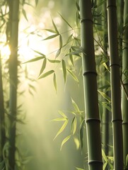 In the bamboo forest, soft sunlight filters through the bamboo leaves