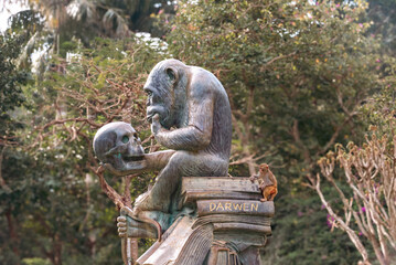 China sanya monkey sitting on monkey statue darwin