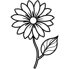 Fototapeta premium Black Line Art Blooming Gerbera Flower Single Leaf Stem