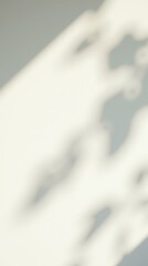 Vertical calm scene with plant shadows — elegant clean background for visual storytelling and ecommerce