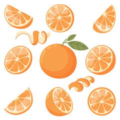 Oranges vector set. Various hand drawn oranges in simple flat style.
